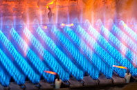 Boddin gas fired boilers